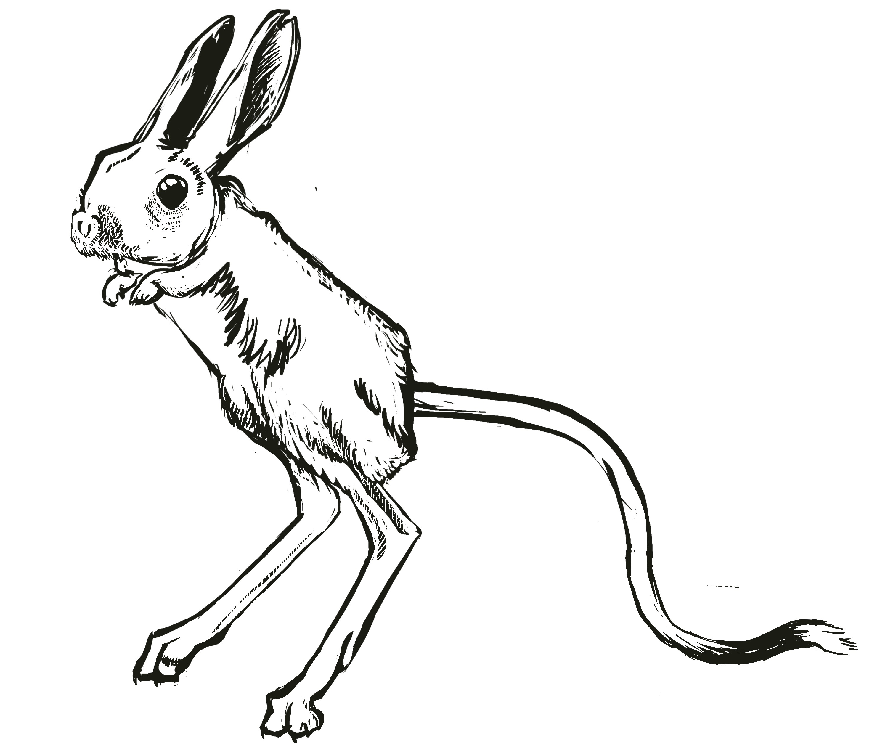 a jerboa, hand drawn in a lino cut style
