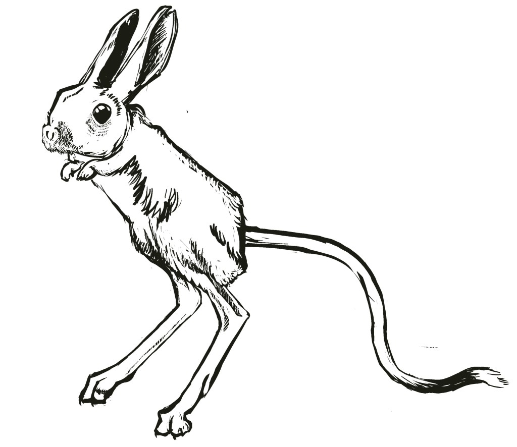 The jerboa is a remarkable tiny creature that, despite being 2.5-3.5 inches (without tail), can jump up to 6 ft. vertically, as well as jink at high speeds.
The jerboa represents the rare opportunity for escape that is available to younger druids that is not as advantageous to the elder Druids. This isn't because the elder druid can't morph a swarm of jerboas, but rather, because the elder druid is no longer on a timer and forced back into the druid's natural form after a period of time. Jerboas are solitary creatures, and so the swarm that a druid becomes with any of the smaller creatures quickly disperses and will avoid its parts until the Druid's animal form is up. Once a Druid can spend an indefinite amount of time in animal form, well, this does present some difficulties doesn't it?
Arch Druid Chenghiz ended up spending 20 years as a swarm of Jerboas, requiring multiple quests by apprentice applicants to bring him back together.