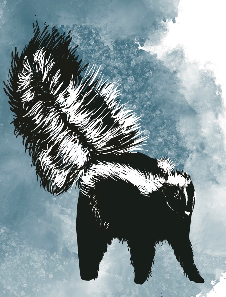 Skunks are a secret weapon of the Druids. After all, most druids don't hesitate to make use of the larger preditors while adventuring. However, when a druid needs to ward off an enemy from a location or treasure, the skunk is unbeatable. With its ability to precisely target its stink glands up to 8 times, and with the power of the the nauseating smell even on a miss, many a druid has taken the opportunity to show an over-powered warrior a thing or two about disrespecting nature.